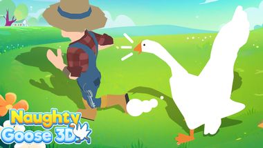 crazy_goose_simulator