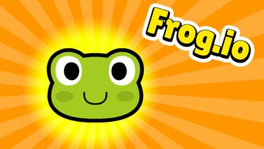 frog_io